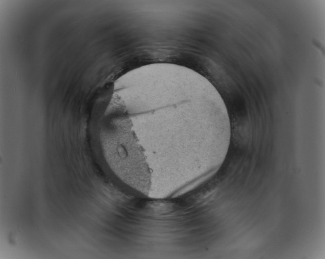 X0000096950221200803071035