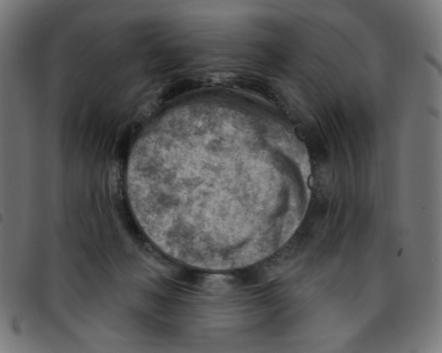 X0000096950222200803071035