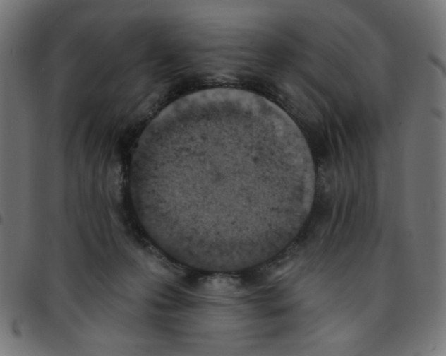 X0000096950223200803071035