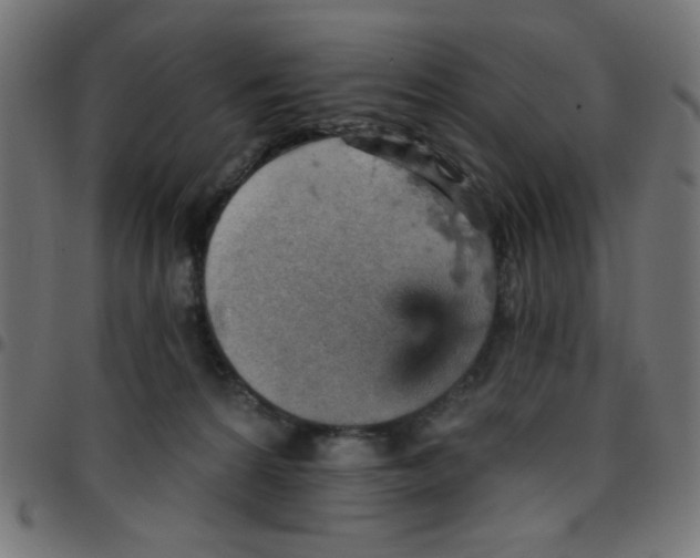 X0000096950224200803071035