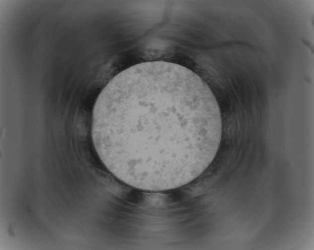 X0000096950226200803071035
