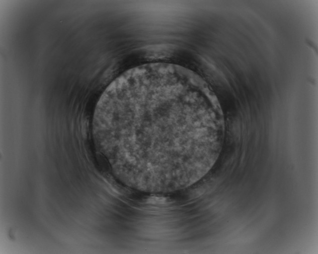 X0000096950227200803071035