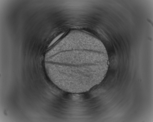 X0000096950229200803071035