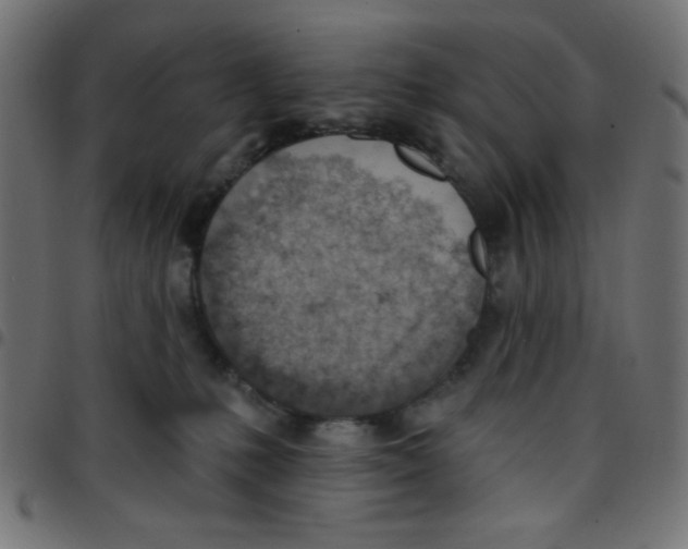X0000096950231200803071035