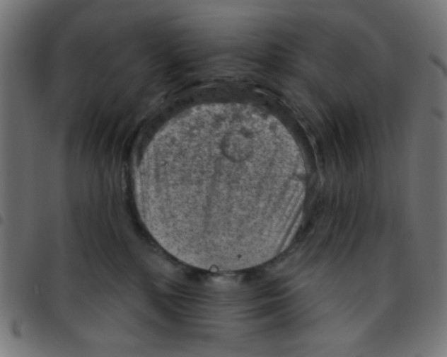 X0000096950232200803071035