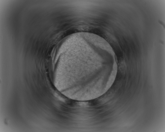 X0000096950233200803071035