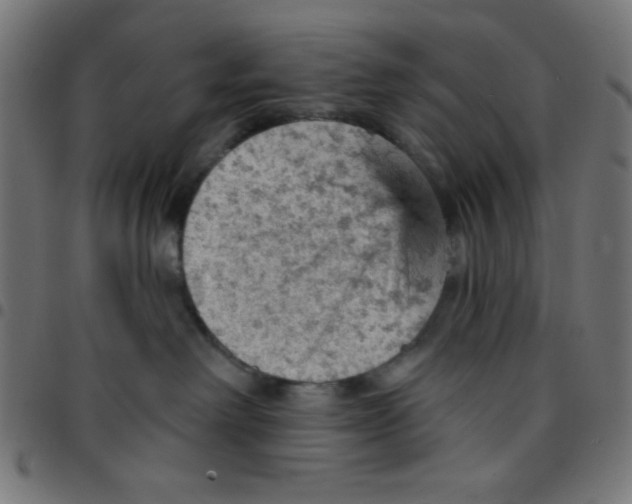X0000096950238200803071035