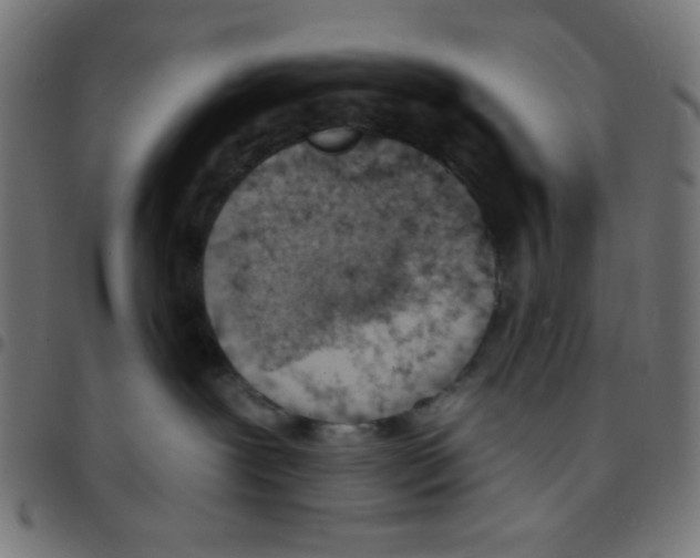 X0000096950239200803071035