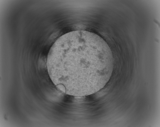 X0000096950240200803071035