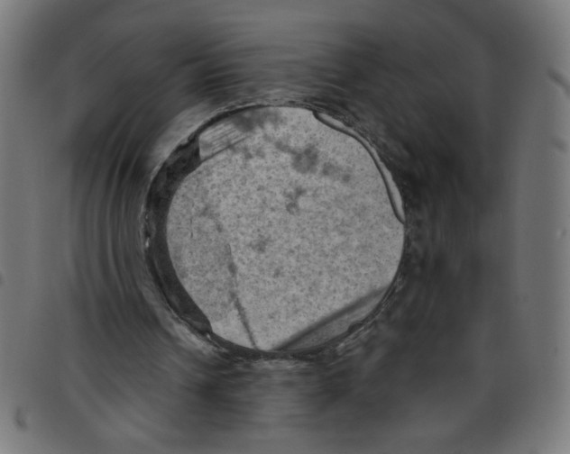 X0000096950242200803071034