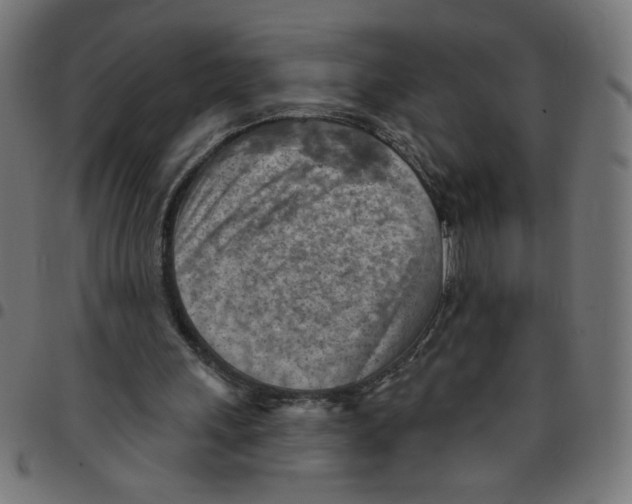 X0000096950243200803071034
