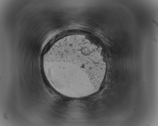 X0000096950244200803071034