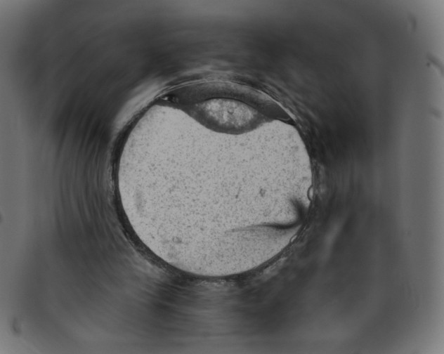 X0000096950245200803071034
