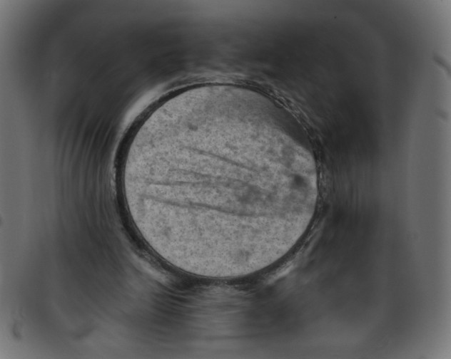 X0000096950246200803071034