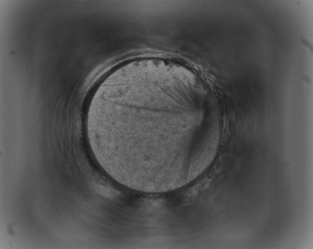 X0000096950247200803071034