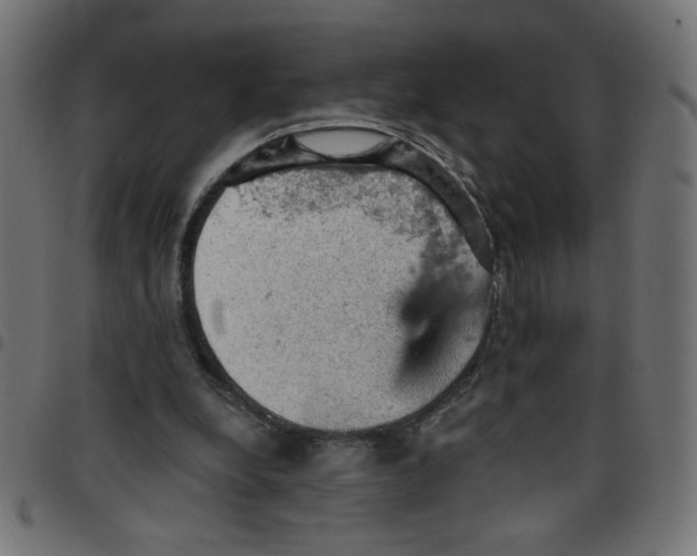 X0000096950248200803071034