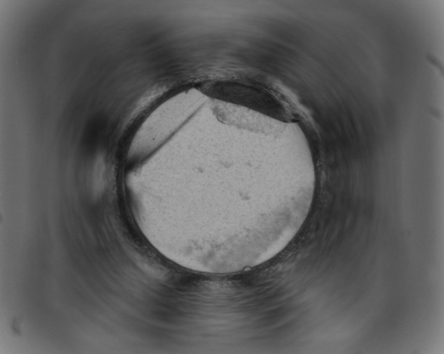 X0000096950250200803071034