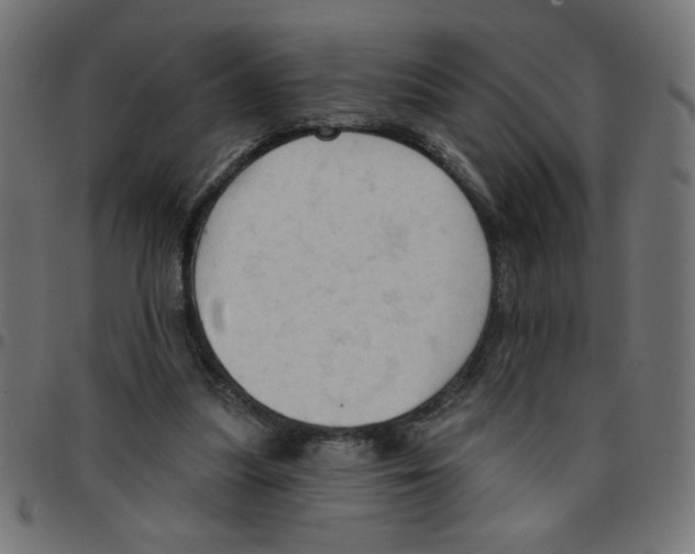 X0000096950251200803071034