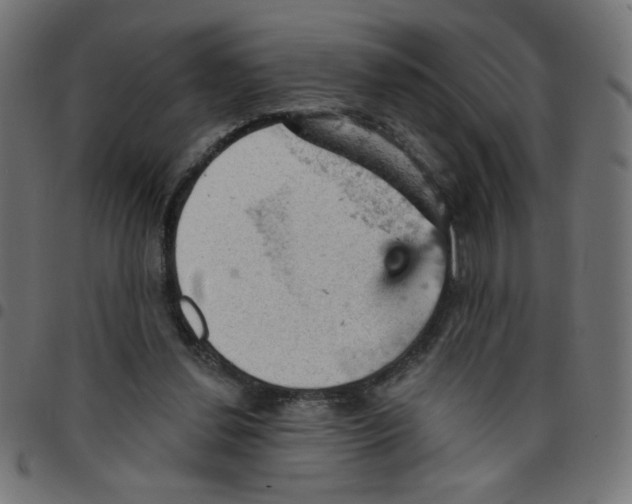X0000096950252200803071034