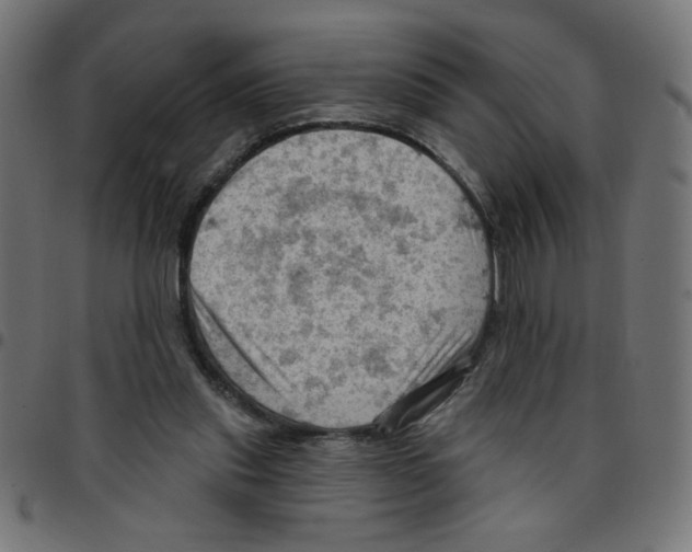 X0000096950253200803071034