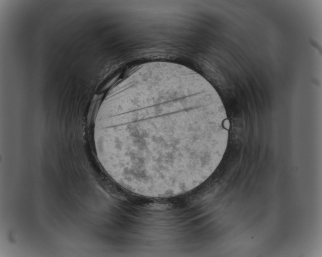 X0000096950255200803071034