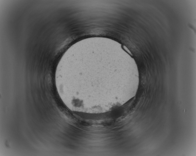 X0000096950256200803071034