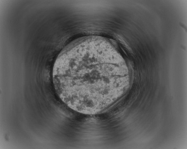 X0000096950259200803071034