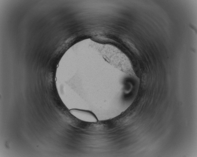 X0000096950260200803071034