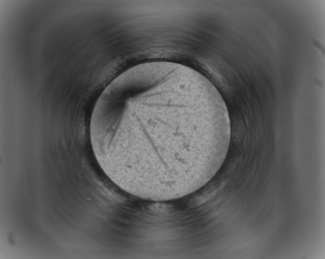 X0000096950261200803071034