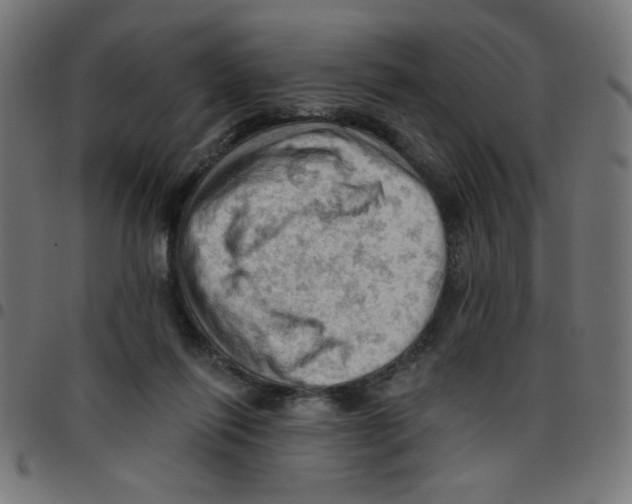 X0000096950262200803071034