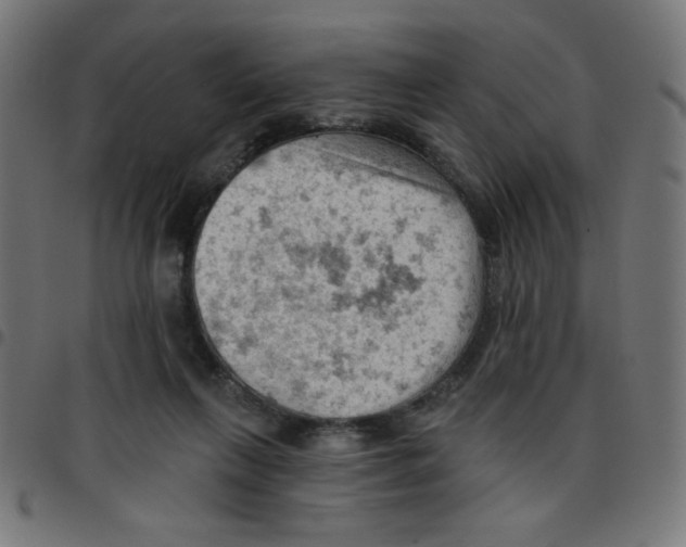 X0000096950263200803071034