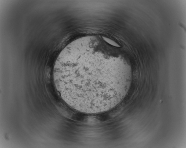 X0000096950264200803071034