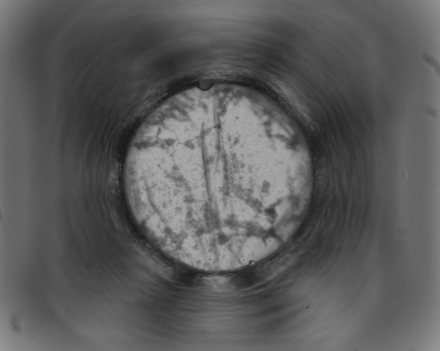 X0000096950265200803071034
