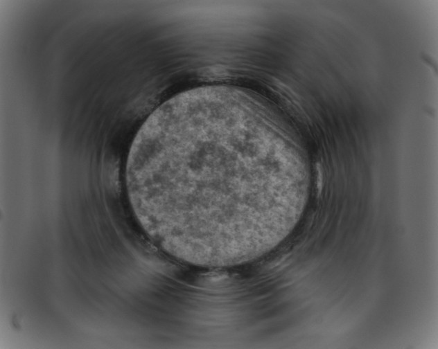 X0000096950267200803071034