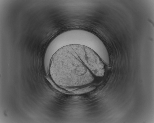 X0000096950268200803071034