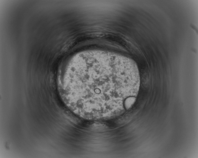 X0000096950270200803071035
