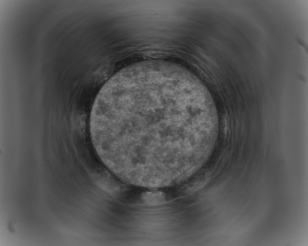 X0000096950271200803071035