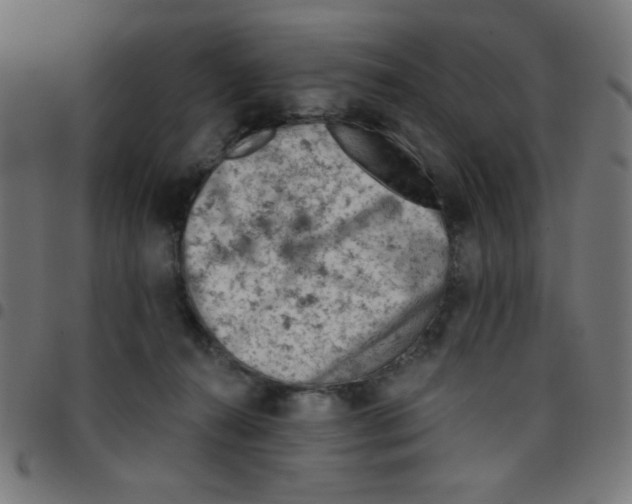 X0000096950272200803071035