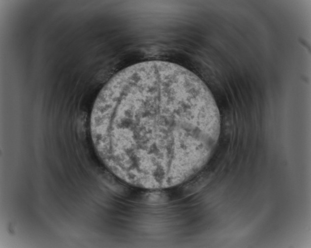 X0000096950275200803071035