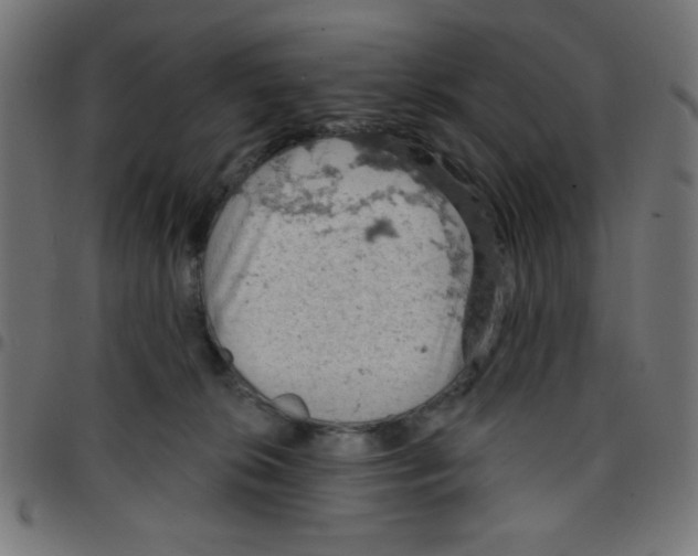 X0000096950276200803071035