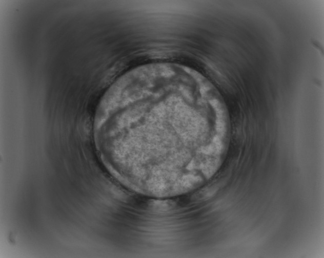 X0000096950277200803071035