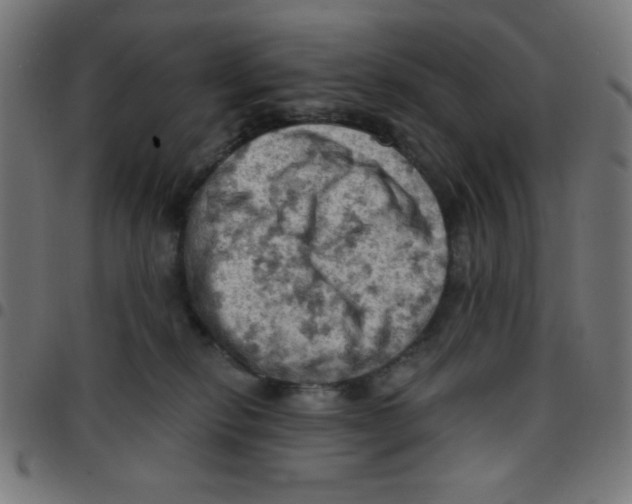 X0000096950278200803071035