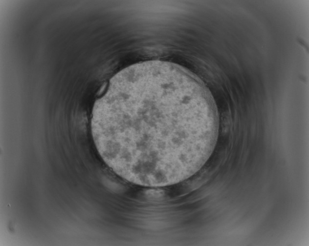X0000096950279200803071035