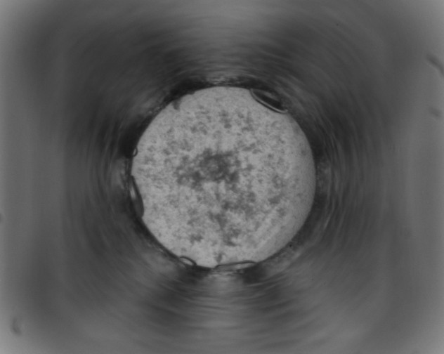 X0000096950280200803071035