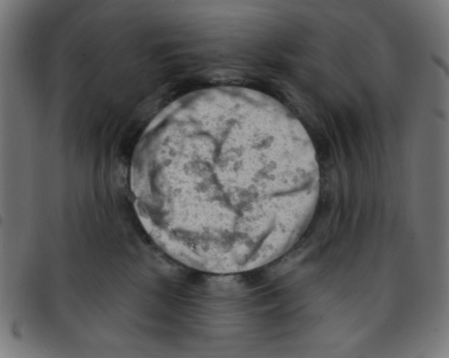 X0000096950281200803071035