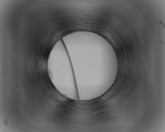 X0000096950285200803071035