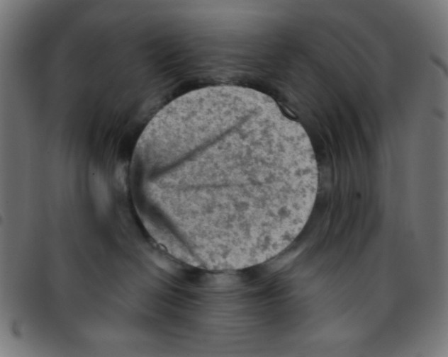 X0000096950286200803071035