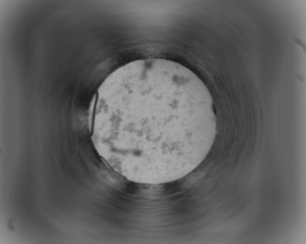 X0000096950288200803071035
