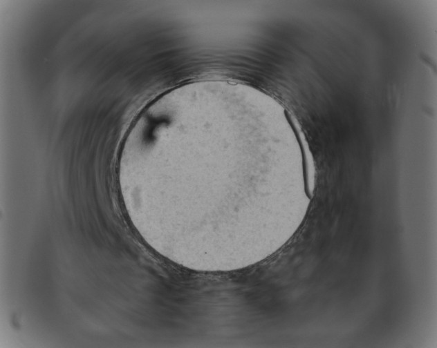 X0000096950289200803071034