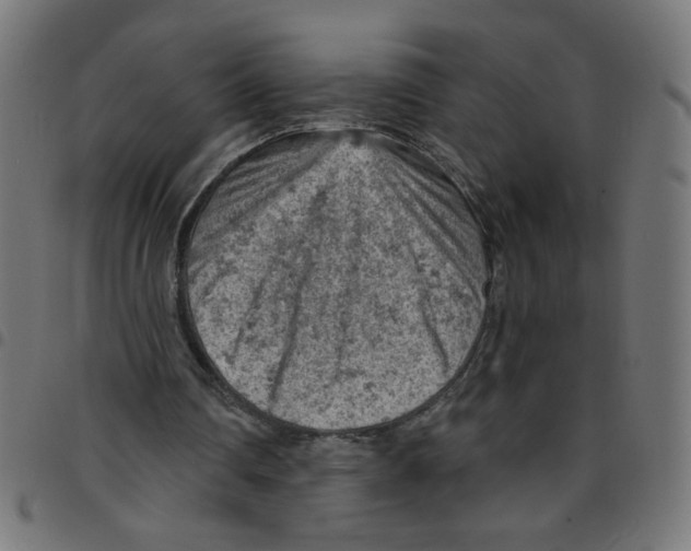 X0000096950290200803071034